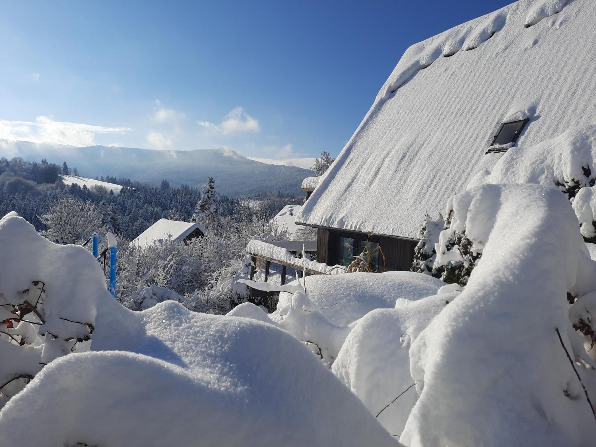 فيلا Haus Mit Bergblick سيغزدورف المظهر الخارجي الصورة